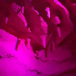 Hotel Alexander Business E Conference Hotel 4*