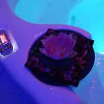 Hotel Hotel Alexander Business E Conference 4*