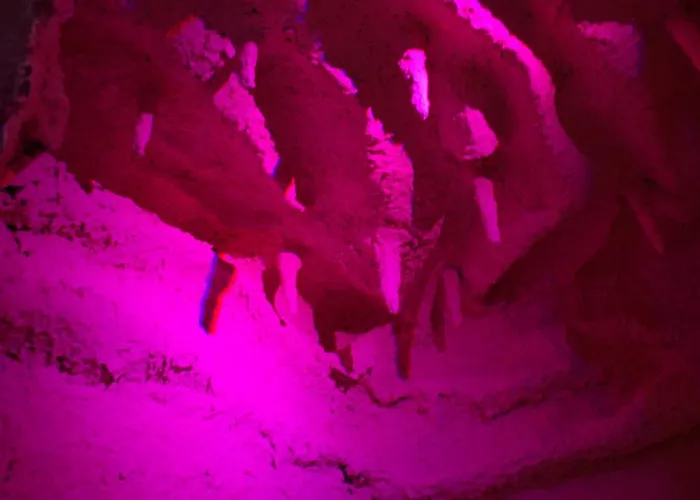 Alexander Palace فندق 4*