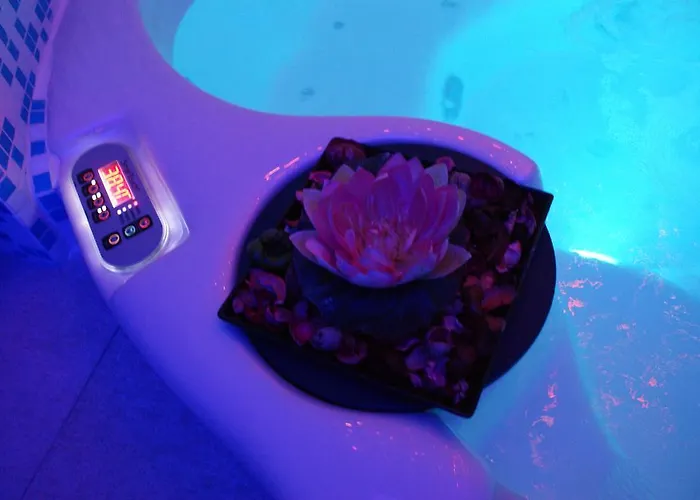 酒店 Alexander Palace 4*